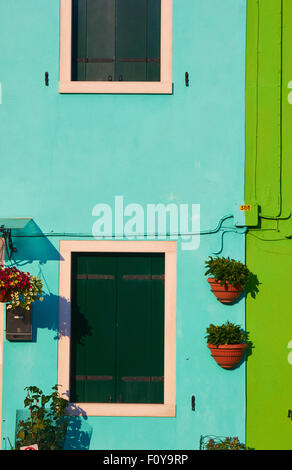 Hängende Pflanzen auf bunt bemalte Haus Burano venezianischen Lagune Veneto Italien Europa Stockfoto