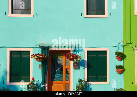 Hängende Pflanzen auf bunt bemalte Haus Burano venezianischen Lagune Veneto Italien Europa Stockfoto