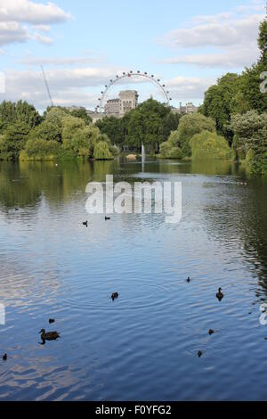 Das London Eye aus gesehen über See in St James Park London, England Stockfoto