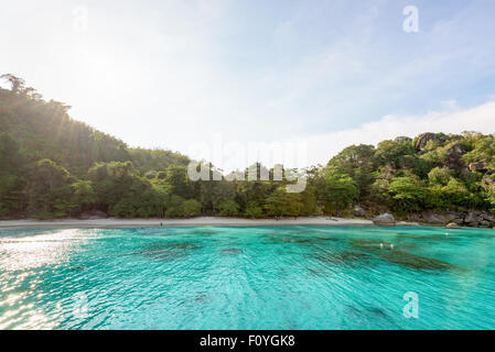 Schöne grüne blaue Meer kleine Strand von Honeymoon Bay ist eine berühmte Attraktionen zum Tauchen auf Ko Miang Insel im Koh Similan Stockfoto