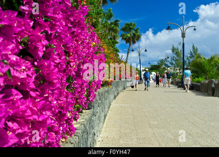 PLAYA BLANCA bunten Bougainvillea gesäumte Fußgängerzone mit Touristen, die im Freien, sonnigen Wetter Playa Blanca Lanzarote Kanarische Inseln Stockfoto