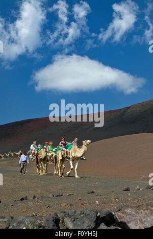 TIMANFAYA Kamel Zug trekking Trek mit Touristen im Nationalpark Timanfaya Lanzarote Kanarische Inseln Spanien Stockfoto