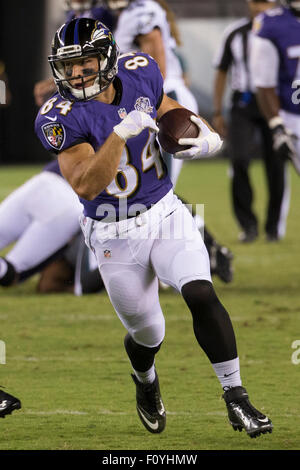 22. August 2015: Baltimore Ravens Wide Receiver Tom Nelson (84) in Aktion während der NFL Vorsaison Spiel zwischen den Baltimore Ravens und die Philadelphia Eagles am Lincoln Financial Field in Philadelphia, Pennsylvania. Die Philadelphia Eagles gewann 40-17. Christopher Szagola/CSM Stockfoto