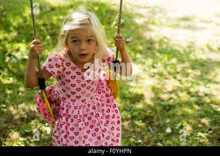 Baum-Schaukel im Garten mit einem hohen Baum, blauer Himmel und grünen