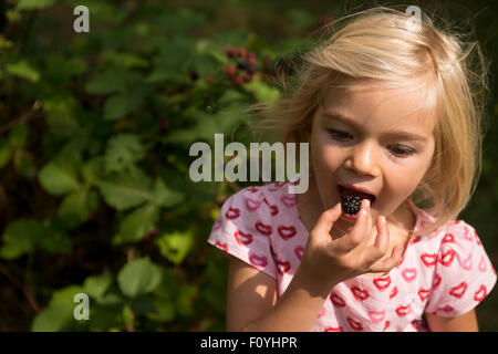 Porträt des Kindes blond lächelndes Mädchen pflücken und Essen Brombeeren (Boysenberry), Sommer, draußen, Gartenhof, Natur Stockfoto