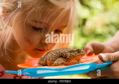 Kind blondes Mädchen Blick auf Hinterhof Frosch Stockfoto