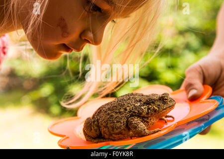 Kind blondes Mädchen Blick auf Hinterhof Frosch Stockfoto