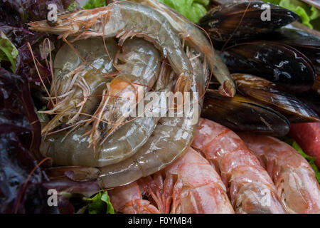 frische Meeresfrüchte auf Platte Stockfoto