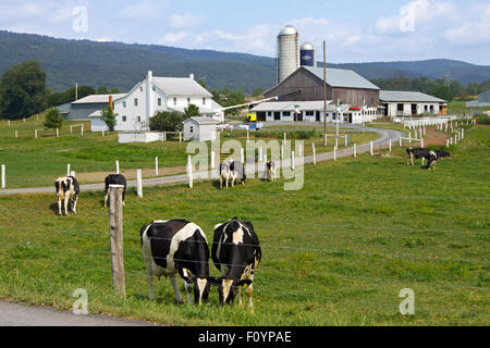 Eine amische Milchviehbetrieb in der Nähe von Belleville im Kishacoquillas Valley, Mifflin County, Pennsylvania, USA. Stockfoto