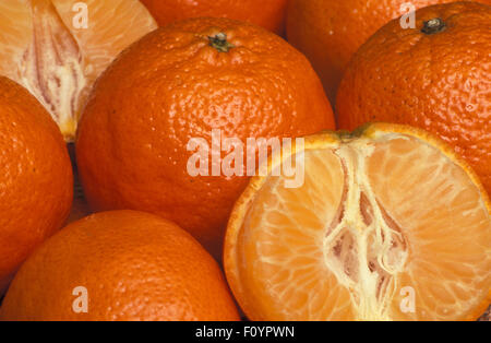 NAHAUFNAHME VON GANZEN UND HALB FRISCH GEERNTETEN MANDARINEN, AUCH BEKANNT ALS MANDARINEN, SATSUMA ODER CLEMENTINEN (CITRUS RETICULATA) AUSTRALIEN. Stockfoto