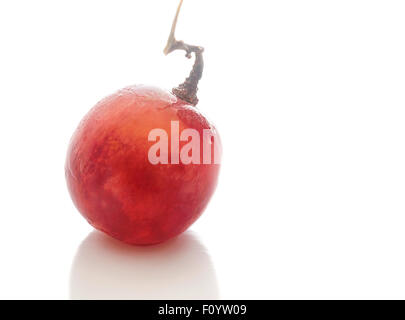 Kirsche von roten Trauben, die auf einem weißen Hintergrund isoliert Stockfoto