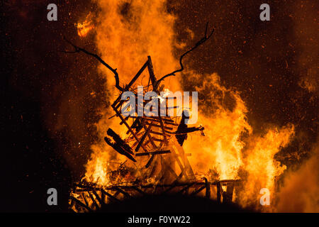 GREEN MAN, PYRE, BURNING, BRANDUNG, TRADITION: Glanusk Park bei Brecon, Wales, 23. August 2015. Der letzte Tag des Green man Musikfestivals in den Brecon Beacons Mountains in Wales. Nächtliche Regenfälle machten den Ort in ein Schlammbad, aber die Sonne kam am Nachmittag heraus. Im Bild: Die Verbrennung des GRÜNEN MANNES (Wicker man) am Sonntagabend um Mitternacht bedeutet das Ende des Festivals. Quelle: Rob Watkins/Alamy Live News Team Stockfoto