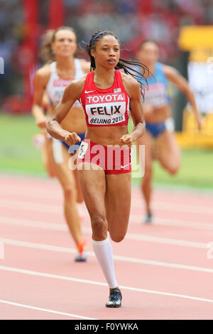 Peking, China. 24. August 2015. Allyson Felix (USA) Leichtathletik: 15. IAAF World Championships in Athletics Beijing 2015 Frauen 400m Läufe im Beijing National Stadium in Peking, China. Bildnachweis: YUTAKA/AFLO SPORT/Alamy Live-Nachrichten Stockfoto