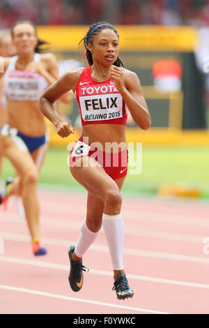 Peking, China. 24. August 2015. Allyson Felix (USA) Leichtathletik: 15. IAAF World Championships in Athletics Beijing 2015 Frauen 400m Läufe im Beijing National Stadium in Peking, China. Bildnachweis: YUTAKA/AFLO SPORT/Alamy Live-Nachrichten Stockfoto