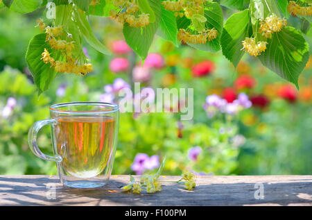 Tasse mit Linden Tee und Blumen im Garten Stockfoto