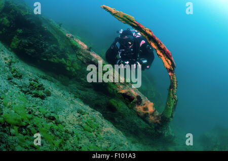 Der Baikalsee, Sibirien, Russland. 15. Oktober 2014. Taucher in der Nähe der überschwemmten Baum, Baikalsee, Sibirien, Russland, Eurasien. © Andrey Nekrassow/ZUMA Wire/ZUMAPRESS.com/Alamy Live-Nachrichten Stockfoto