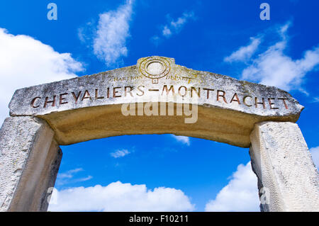 Die Kalkstein-Markt der Chevalier-Montrachet Weinberge in Puligny-Montrachet, Burgund, Frankreich Stockfoto