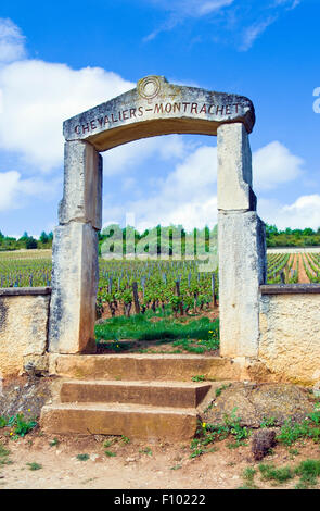 Die Kalkstein-Markt der Chevalier-Montrachet Weinberge in Puligny-Montrachet, Burgund, Frankreich Stockfoto