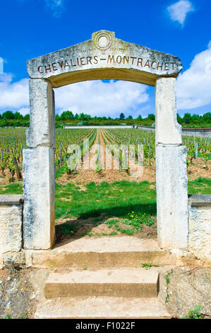 Die Kalkstein-Markt der Chevalier-Montrachet Weinberge in Puligny-Montrachet, Burgund, Frankreich Stockfoto