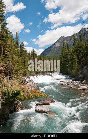 McDonald fällt neben der Going-to-the-Sun Road im Glacier National Park, Montana, USA. Stockfoto