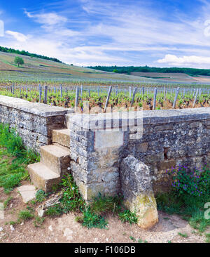 Der Süd-Ost-Ecke Marker der Romanée-Conti Weinberge in Burgund, Frankreich Stockfoto