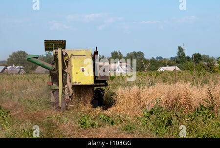 Mähdrescher auf einem Feld Hafer arbeiten Stockfoto