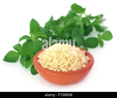 Grobe Kristalle von braunem Zucker mit Stevia-Blätter Stockfoto