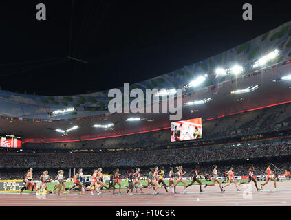 Peking, China. 24. August 2015. Athleten kämpfen, während die Frauen 10000m-Finale bei den Weltmeisterschaften 2015 in das "Vogelnest" Nationalstadion in Peking, Hauptstadt von China, 24. August 2015. © Li Gang/Xinhua/Alamy Live-Nachrichten Stockfoto