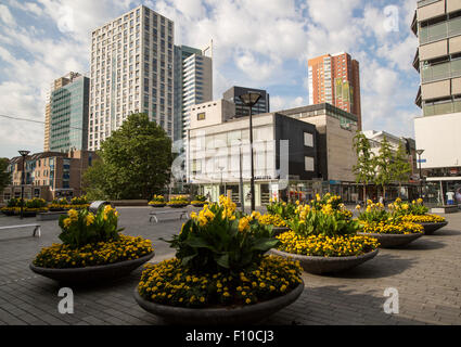 Modernes Bürogebäude mit Hochhäusern und Geschäfte in zentralen Rotterdam, Niederlande Stockfoto