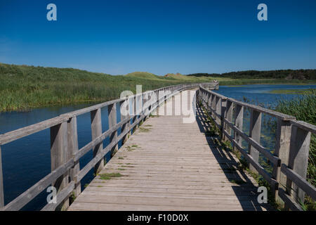 Cavendish Dunelands Trail PEI "Prince Edward Island" Kanada Stockfoto