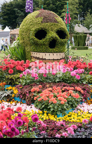 Am Tag der Dahlie Blume Bett Garten Anzeige von Birmingham City Council bei RHS Cheshire Flower Show Tatton Park, England, UK Stockfoto