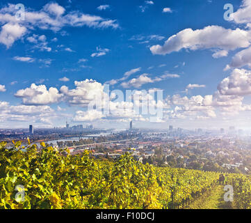 Blick auf die Donau und die Skyline von Wien. Die Weinberge vor sind aus Nußdorf ein Vorort von Wien Stockfoto