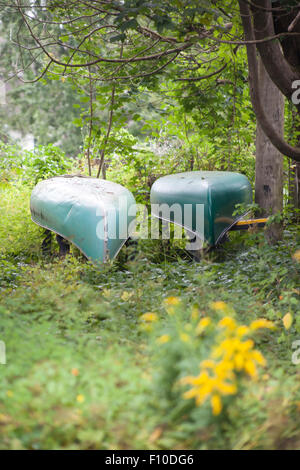 zwei Kanus gespeichert im Wald Stockfoto