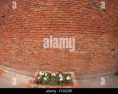 Steinmauer aus alten roten Ziegeln und ein kleines Blumenbeet vor mit weite Schüsse Verzerrung anzeigen Stockfoto