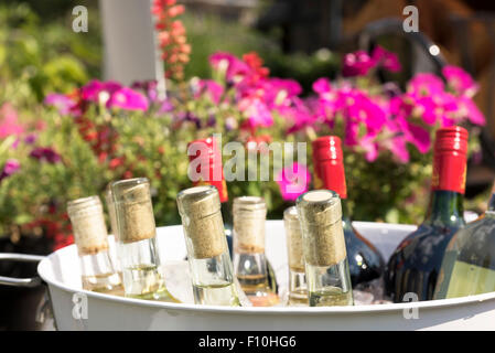 Weinflaschen kühlen auf Eis in einen weißen Eimer Stockfoto
