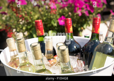 Flaschen Wein, die Kühlung in einem eisgefüllten Eimer mit Blumen im Hintergrund Stockfoto