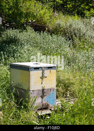 Bienenstock in den Bergen von Bezirk Chania, Kreta, Griechenland. Stockfoto