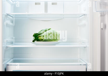 Grünkohl auf weißen Teller in offenen leeren Kühlschrank. Gewicht-Verlust-Diät-Konzept. Stockfoto
