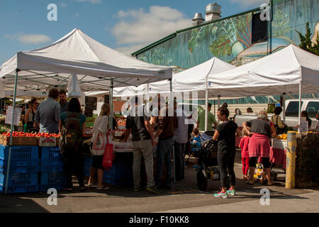 Samstagmorgen um die Noe Valley Farmers' Market an der 24th Street in San Francisco, Kalifornien. Stockfoto