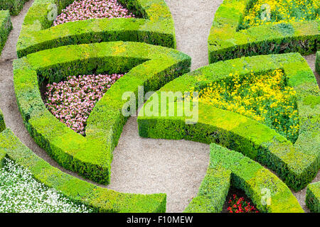 schöne grüne Buchsbaum Garten in Formen geschnitten Stockfoto
