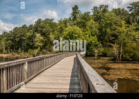 Brücke über Feuchtgebiete zu Wald Stockfoto