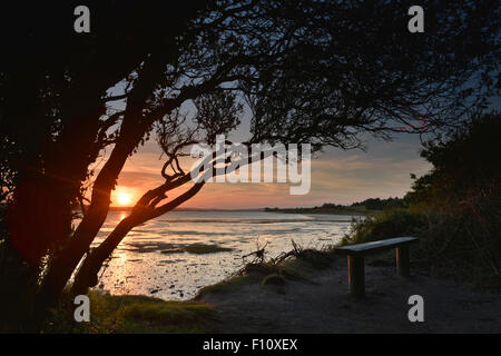Fluß Exe / Mündung Sonnenuntergang - Devon - England Stockfoto