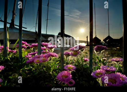 Exmouth Strand / Fluss Exe Sonnenuntergang - Devon - England Stockfoto