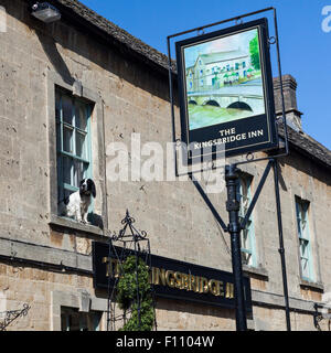 Springer Spaniel Wache des Kingsbridge Inn Bournton-on-the-Water in den Cotswolds in Gloucestershire, England, UK Stockfoto