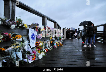 Shoreham, Sussex, UK. 24. August 2015.  Tausende von Blumen und Hommagen links auf die alte Maut-Brücke bei Shoreham heute Abend für die Opfer der Shoreham Airshow Absturz elf Menschen stirbt vermutlich sind nach ein Hawker Hunter-Jet auf der A27 während ein Display auf der Shoreham Airshow abgestürzt haben am vergangenen Samstag Credit: Simon Dack/Alamy Live News Stockfoto