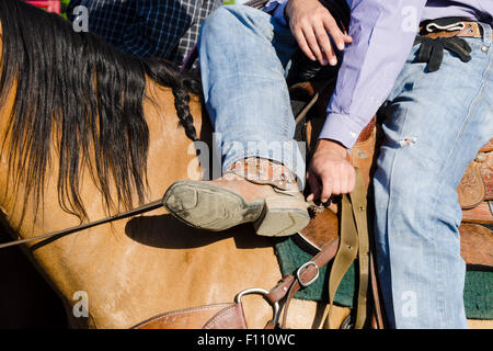 Cowboy sitzt im Sattel auf dem Pferderücken, prüft Sporen in Goshen Stampede Rodeo Stockfoto