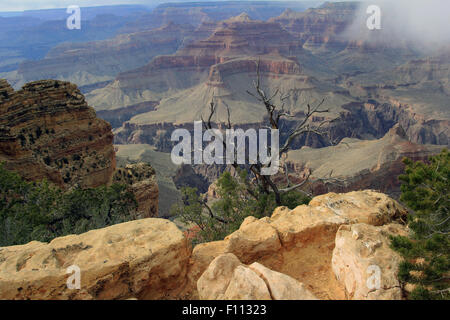 Blick vom Südrand Grand Canyon trail Stockfoto