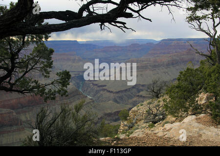 Blick vom Südrand Grand Canyon trail Stockfoto