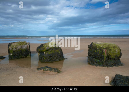 WW2 Verteidigung Reste am Fraisethorpe Strand in der Nähe von Bridlington, England, UK Stockfoto