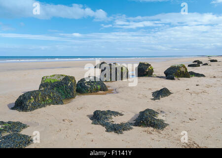 WW2 Verteidigung Reste am Fraisethorpe Strand in der Nähe von Bridlington, England, UK Stockfoto